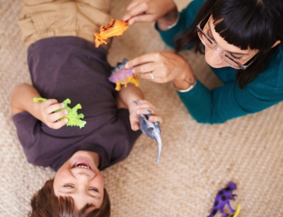 Carpet cleaning to remove flea infestation